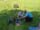 PIC00011a